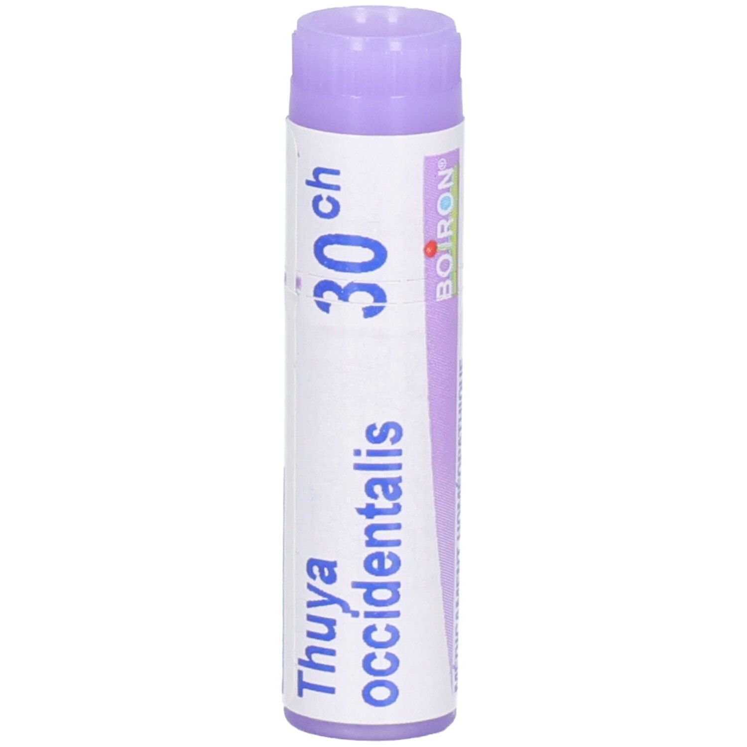 Thuya occidentalis 30 ch tube de granules avec bouchon violet. Logo Boiron.