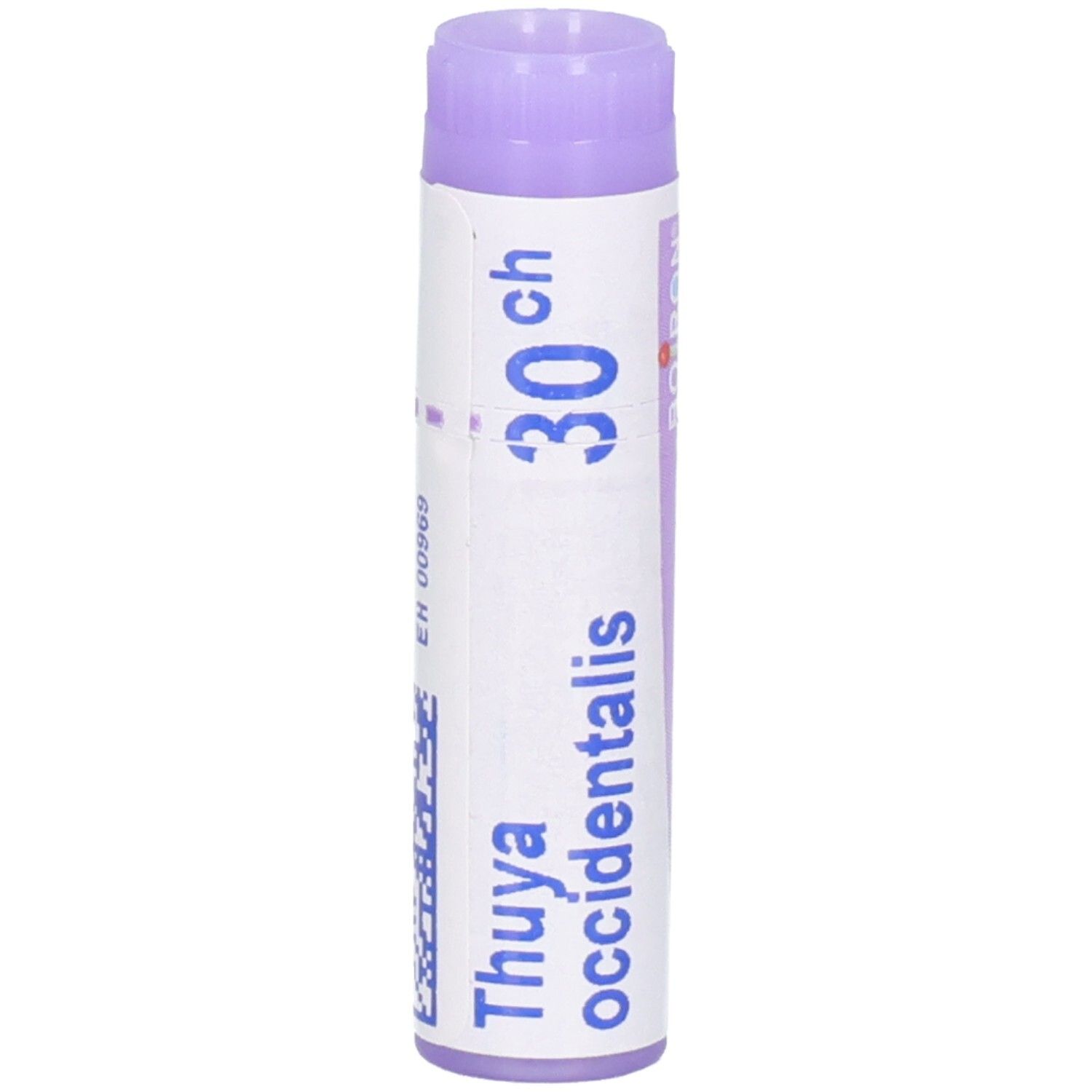 Thuya occidentalis 30 ch tube de granules avec bouchon violet. EH 00969.