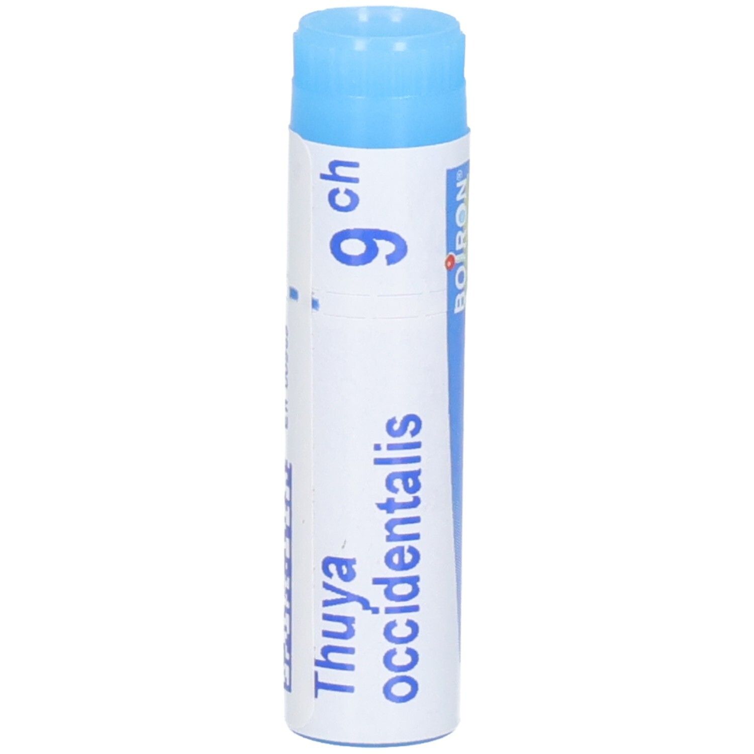 Tube de globules Boiron Thuya occidentalis 9 ch avec bouchon bleu.