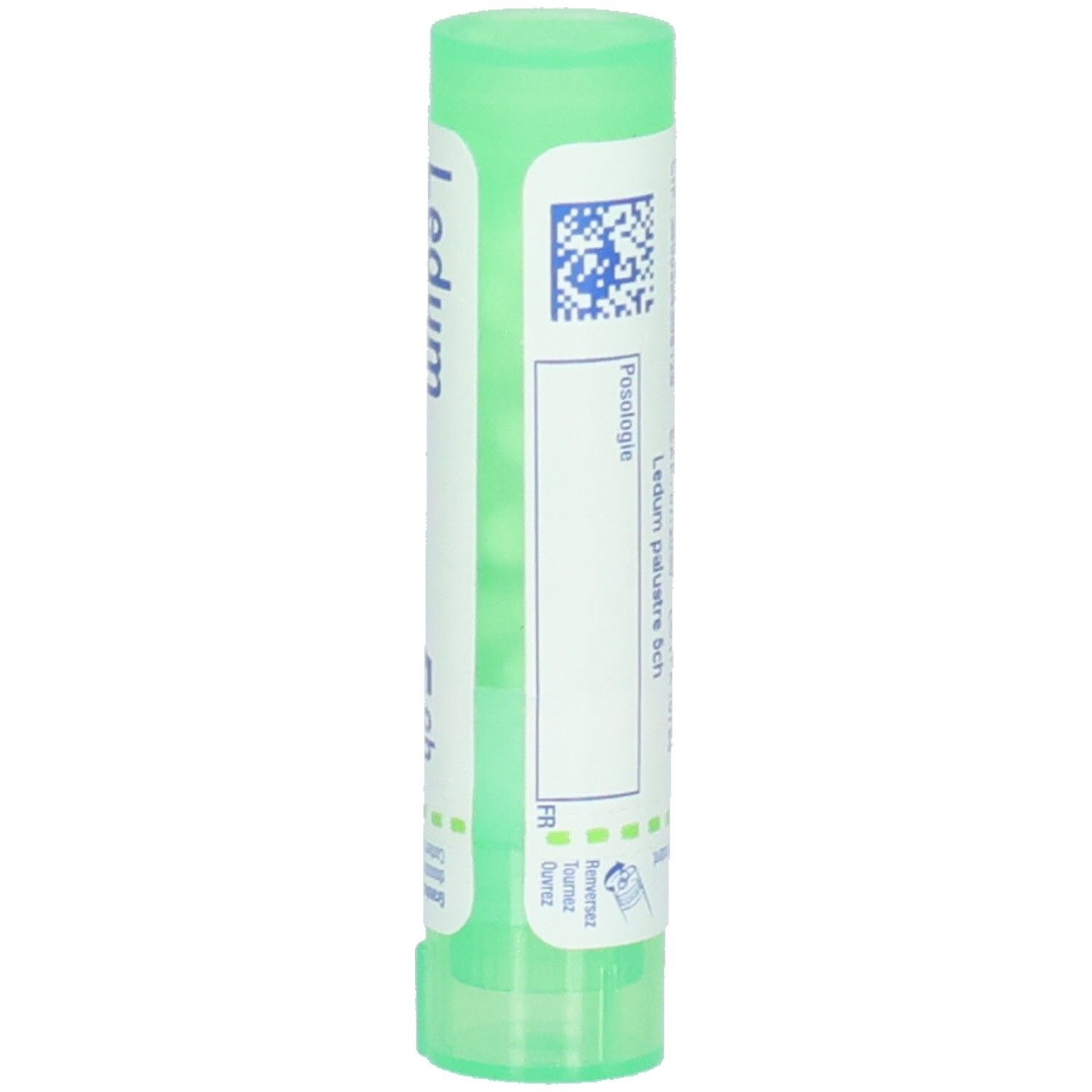 Tube vert avec étiquette blanche. Inscription: Ledum palustre. Informations supplémentaires.