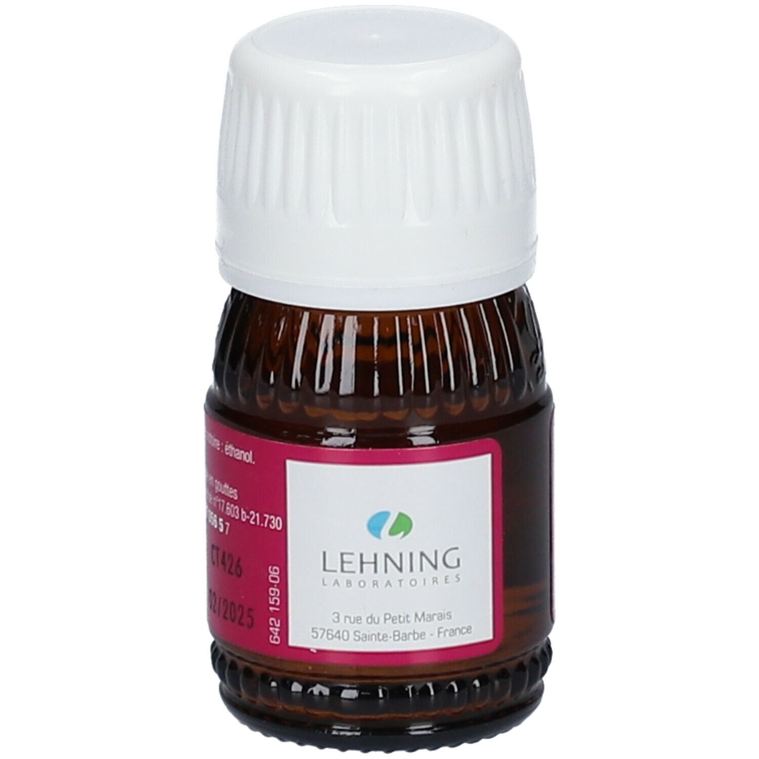 Lehning Rhus Toxicodendron