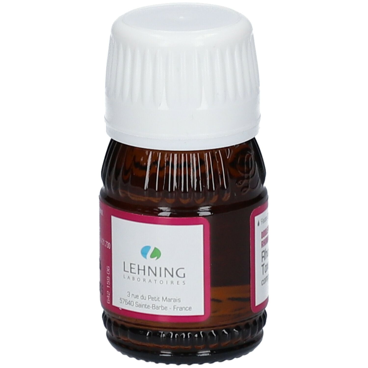 Lehning Rhus Toxicodendron