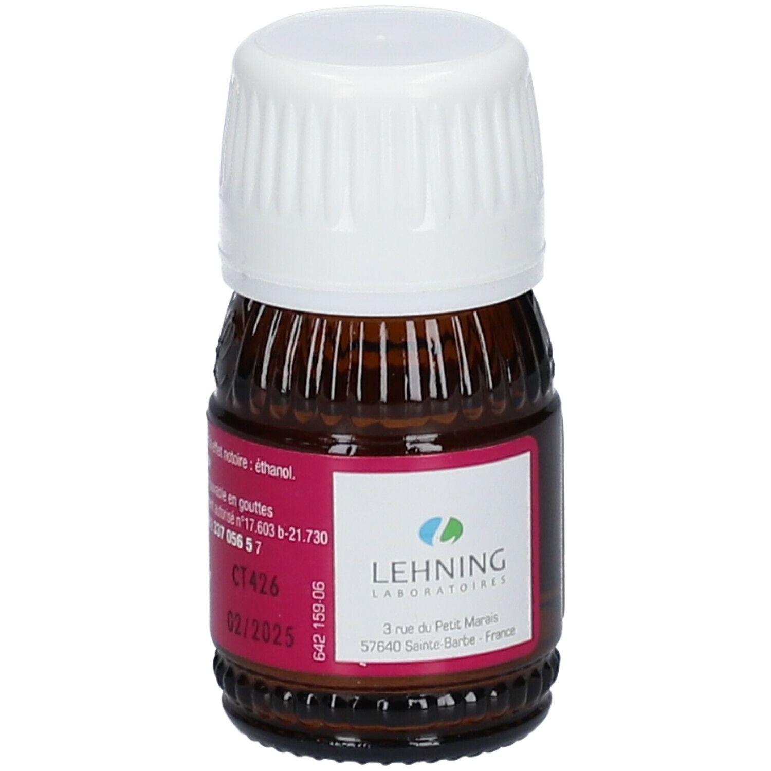 Lehning Rhus Toxicodendron