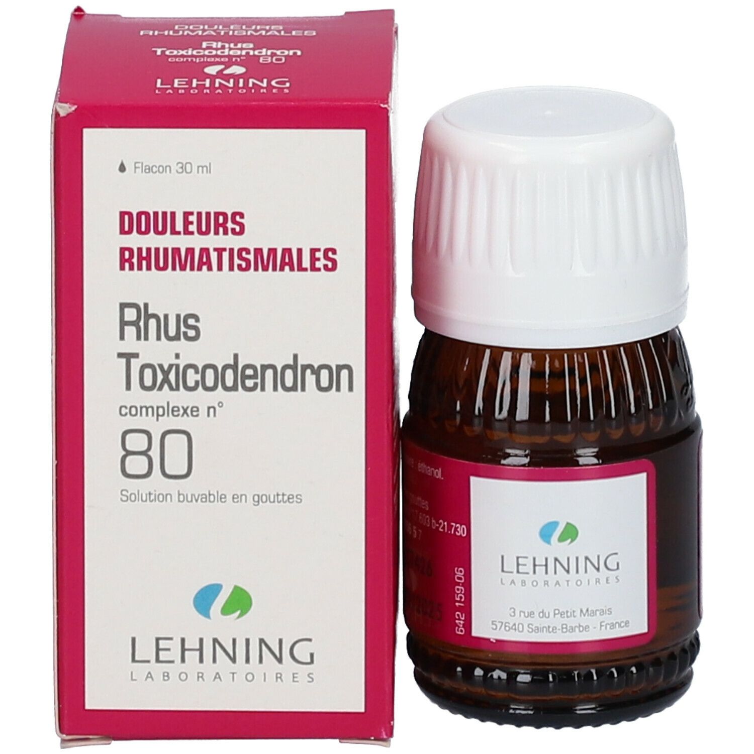 Lehning Rhus Toxicodendron