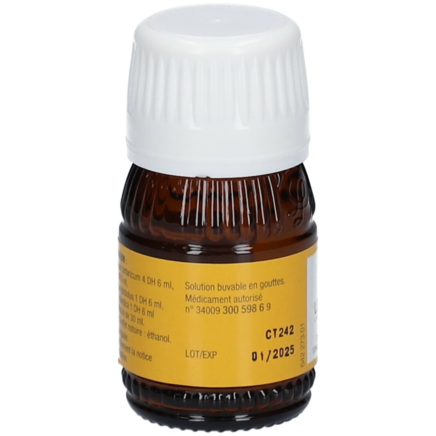 LEHNING Cetraria Complexe N°61