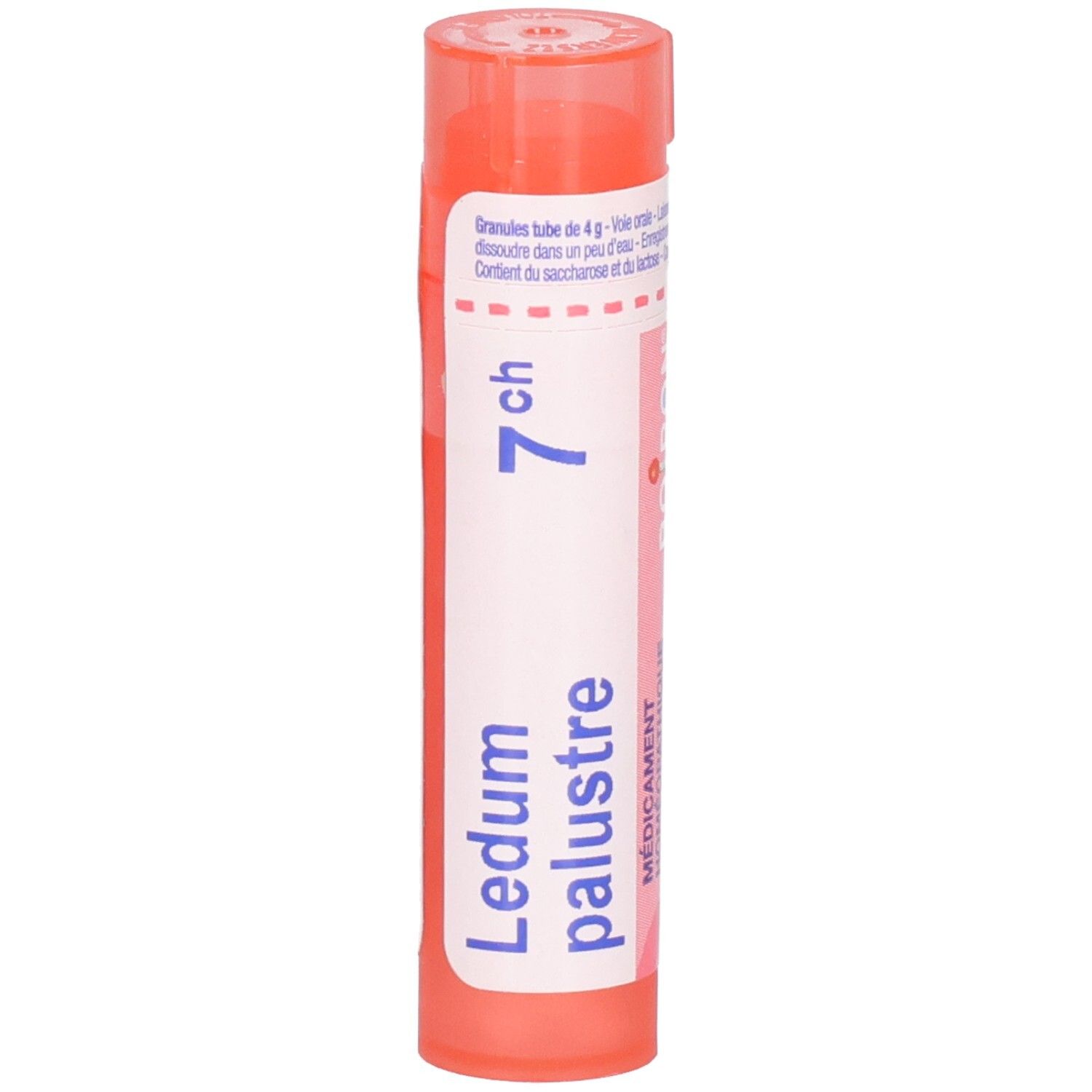 Tube de granules Ledum palustre 7CH. Flacon orange avec étiquette blanche.