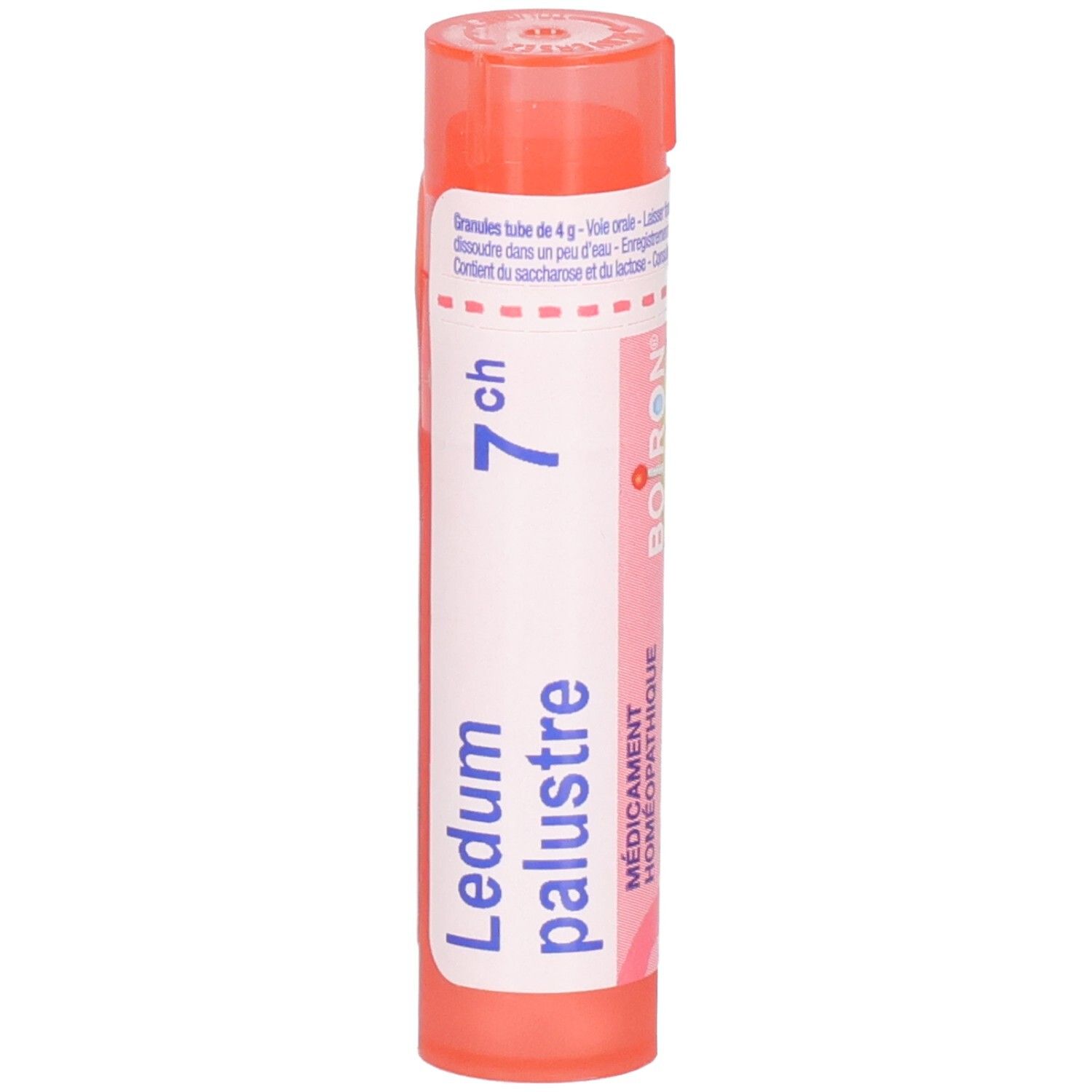 Tube de granules Ledum palustre 7CH. Gros plan du flacon orange avec étiquette blanche.