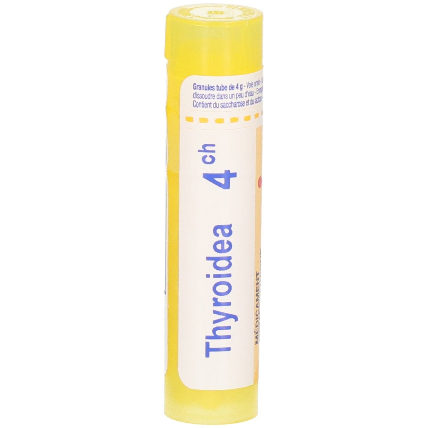 Tube jaune avec granules Thyroidea 4CH. Étiquetage en français et allemand.