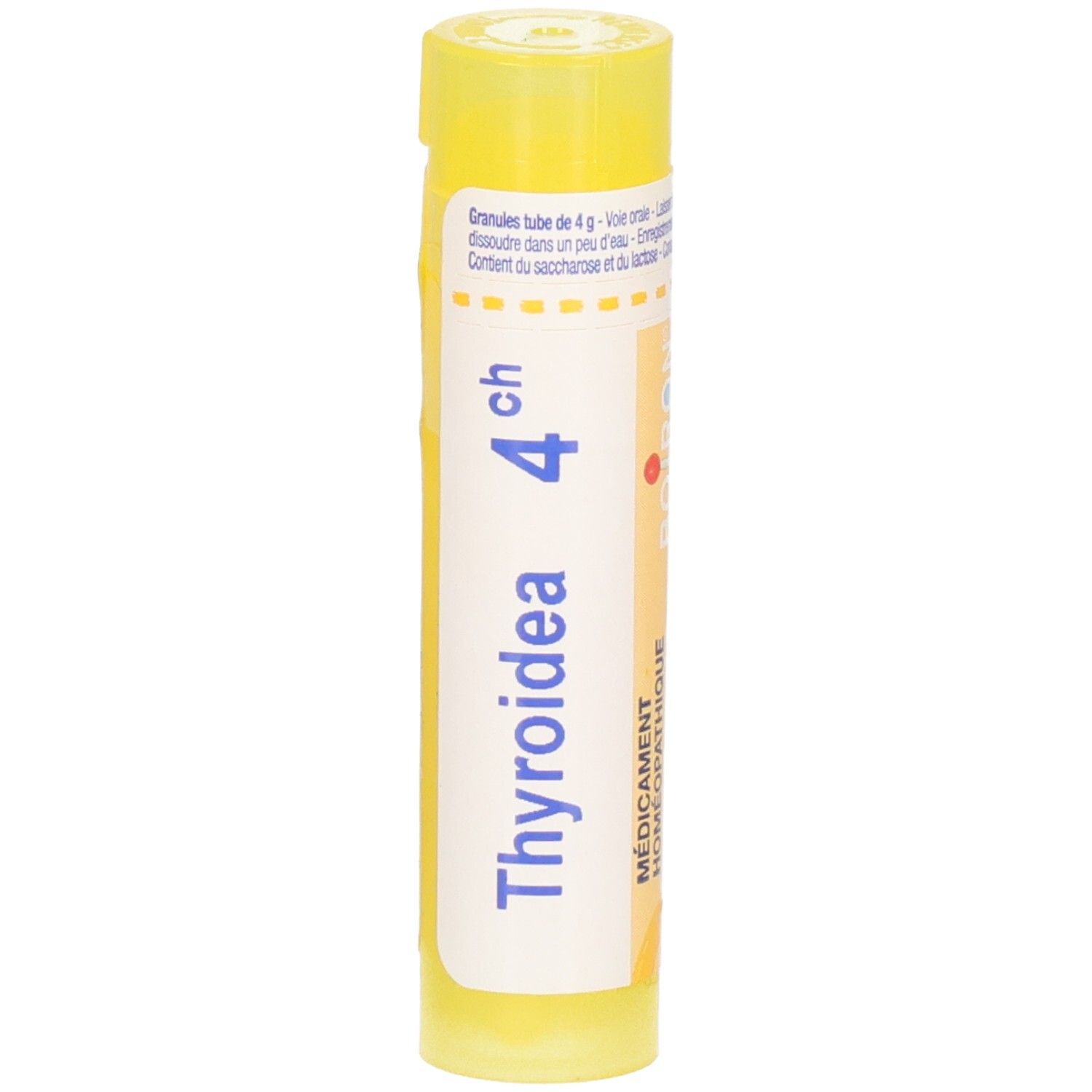 Tube jaune avec granules Thyroidea 4CH. Étiquetage en français et allemand.