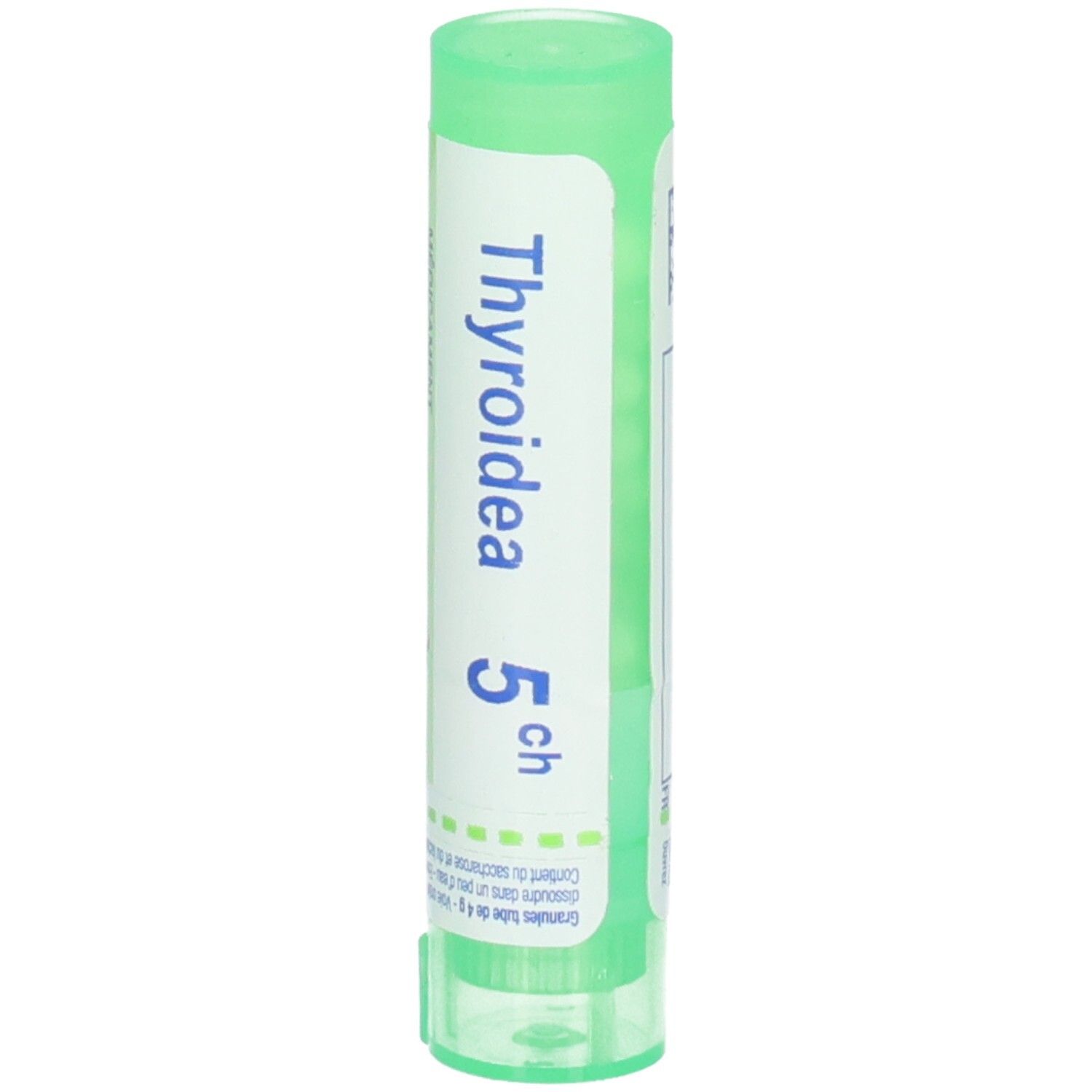 Tube vert avec inscription THYROIDEA 5 CH.