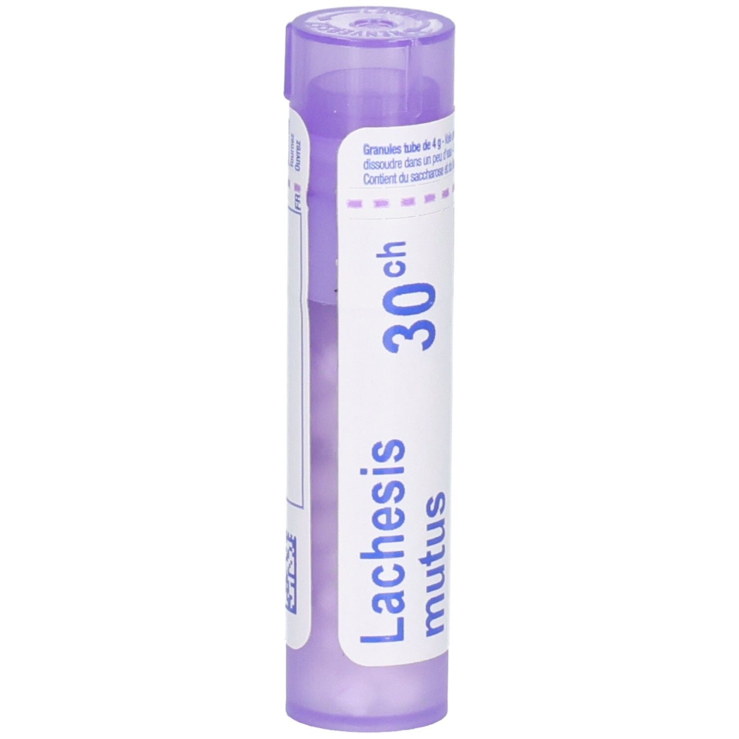Tube de granules Lachesis mutus 30CH, violet, avec étiquettes blanches.