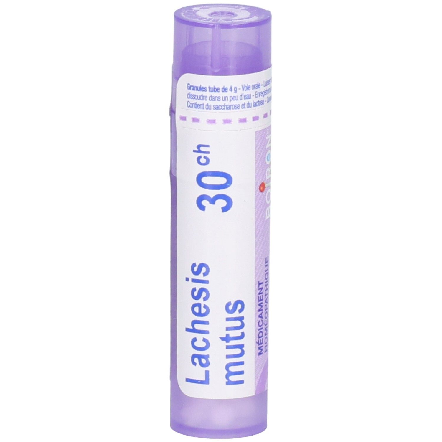 Tube de granules Lachesis mutus 30CH, violet, avec étiquettes blanches et bleues.