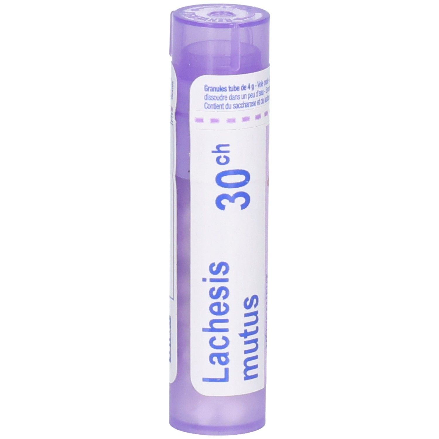 Tube de granules Lachesis mutus 30CH, violet, avec étiquettes blanches et granules visibles.