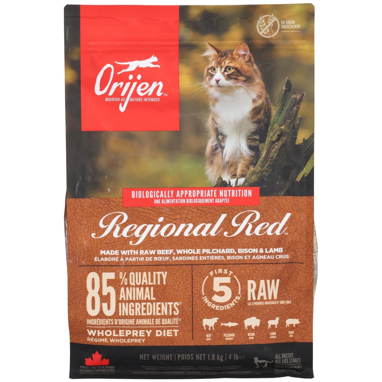Croquettes Orijen Regional Red pour chat : 85% d'ingrédients animaux, 5x viande crue. Face avant avec chat et informations produit.