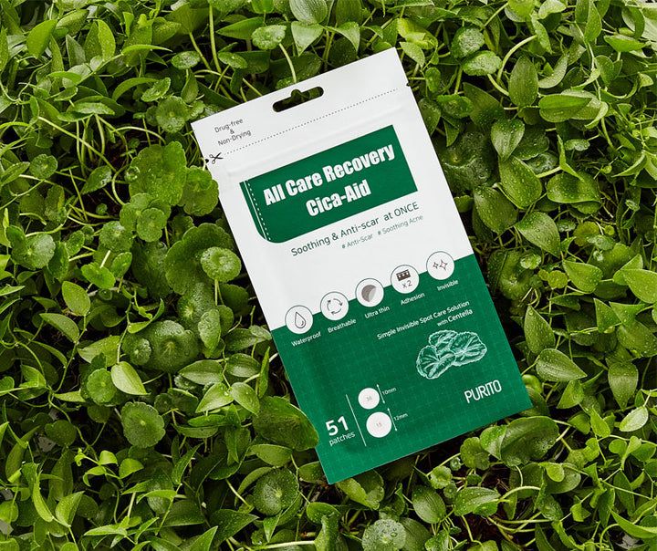 Emballage vert avec texte : All Care Recovery Cica-Aid. Sur feuilles. Texte : PURITO. 51 patchs. Avec icônes.